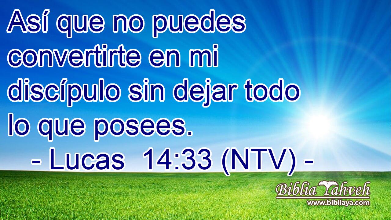 Así que no puedes convertirte en mi discípulo sin dejar todo lo que posees.