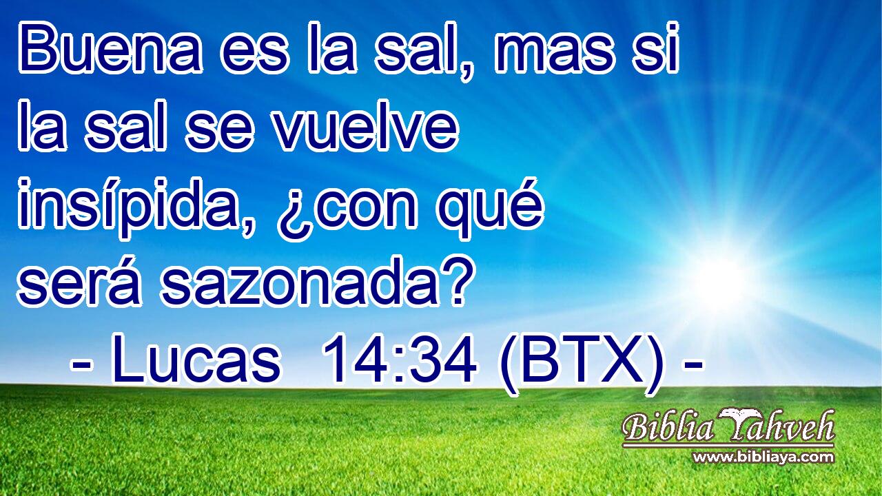 Buena es la sal, mas si la sal se vuelve insípida, ¿con qué será sazonada?