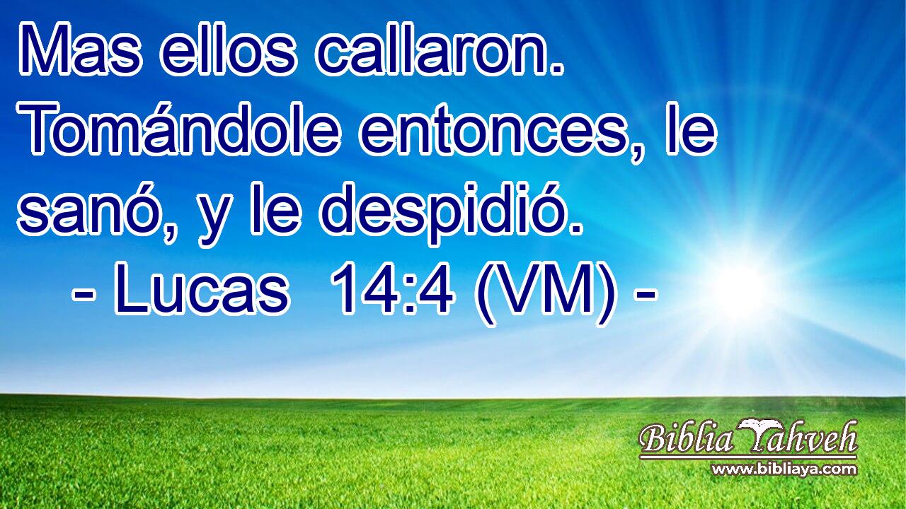  Mas ellos callaron. Tomándole entonces, le sanó, y le despidió. 
