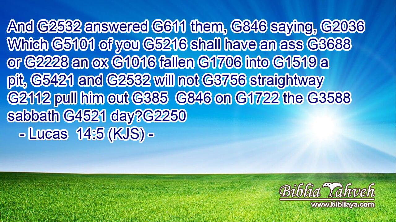 And G2532 answered G611 them, G846 saying, G2036 Which G5101 of you G5216 shall have an ass G3688 or G2228 an ox G1016 fallen G1706 into G1519 a pit, G5421 and G2532 will not G3756 straightway G2112 pull him out G385  G846 on G1722 the G3588 sabbath G4521 day?G2250