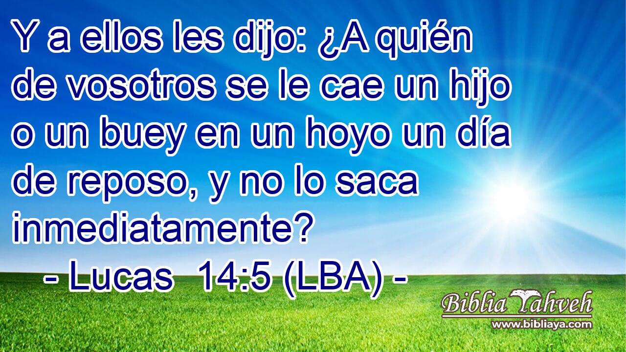Y a ellos les dijo: ¿A quién de vosotros se le cae un hijo o un buey en un hoyo un día de reposo, y no lo saca inmediatamente?
