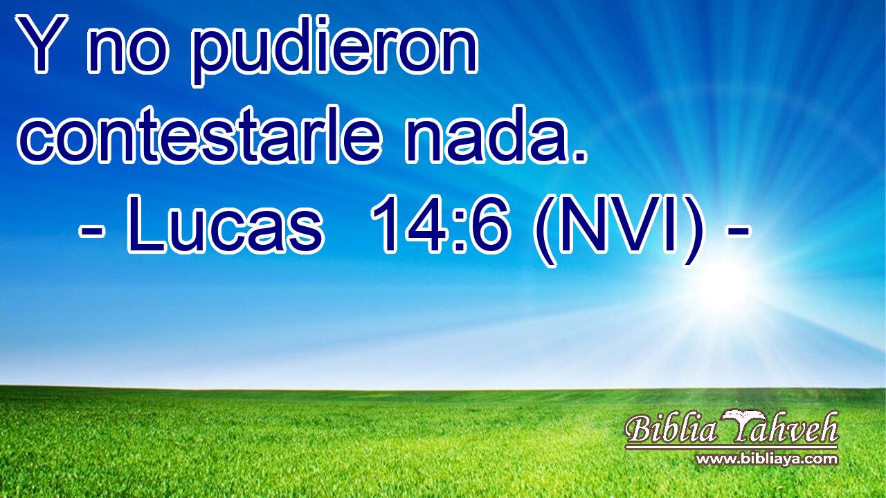  Y no pudieron contestarle nada. 