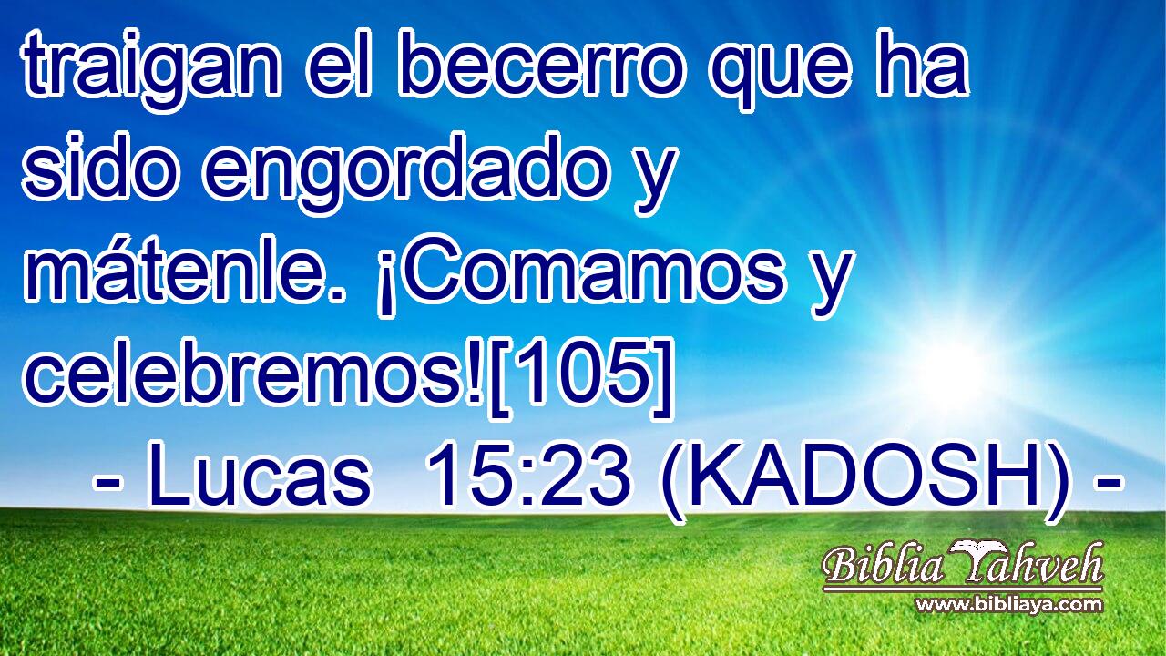  traigan el becerro que ha sido engordado y mátenle. ¡Comamos y celebremos![105] 