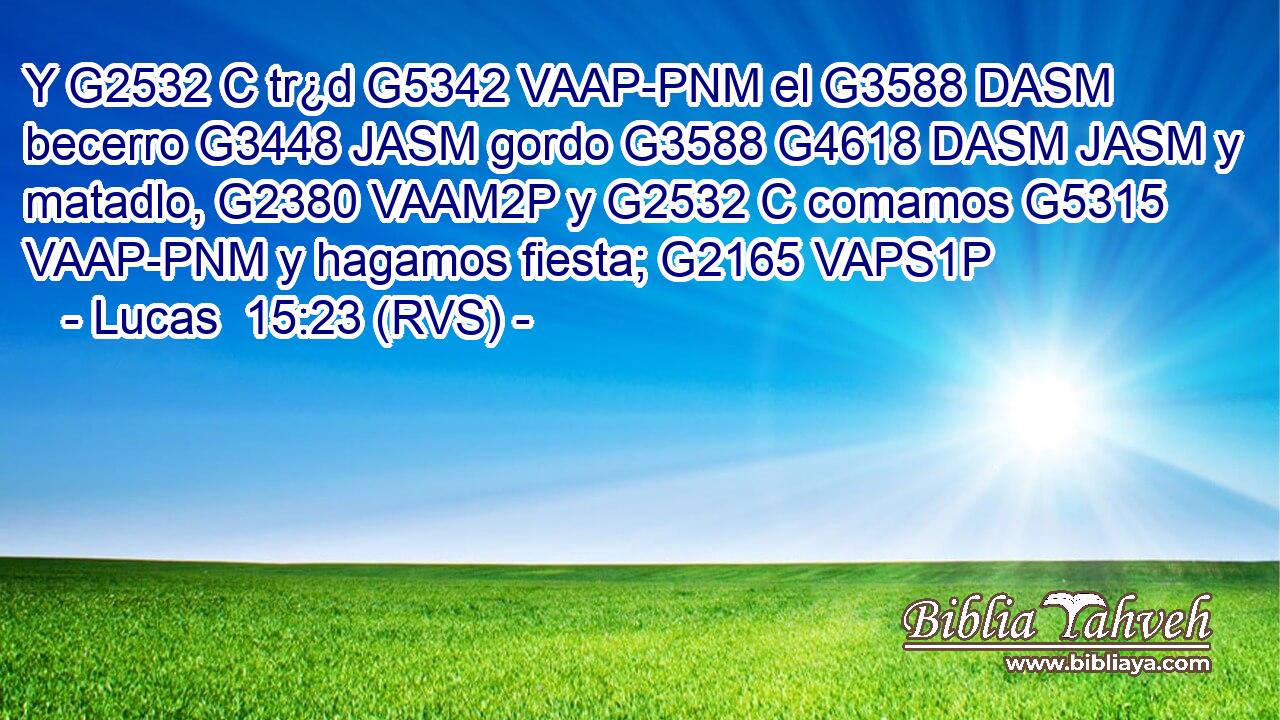 Y G2532 C tr¿d G5342 VAAP-PNM el G3588 DASM becerro G3448 JASM gordo G3588 G4618 DASM JASM y matadlo, G2380 VAAM2P y G2532 C comamos G5315 VAAP-PNM y hagamos fiesta; G2165 VAPS1P 