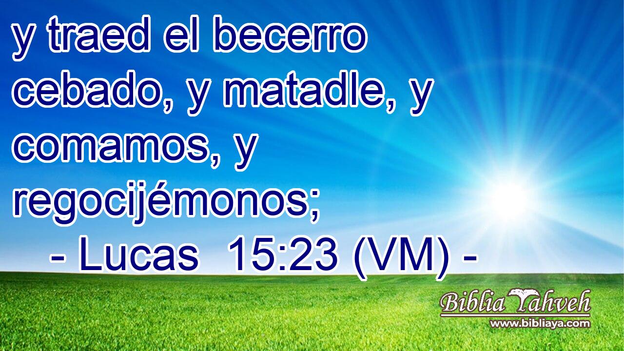  y traed el becerro cebado, y matadle, y comamos, y regocijémonos; 