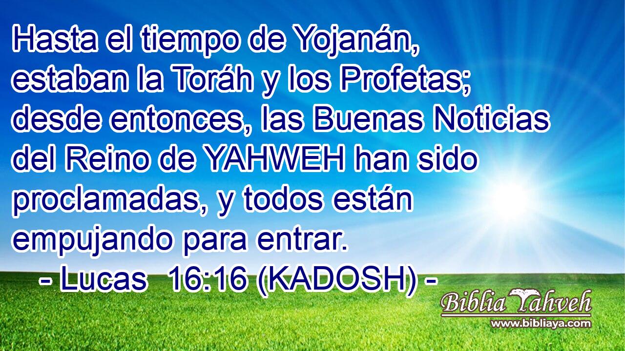 Hasta el tiempo de Yojanán, estaban la Toráh y los Profetas; desde entonces, las Buenas Noticias del Reino de YAHWEH han sido proclamadas, y todos están empujando para entrar. 