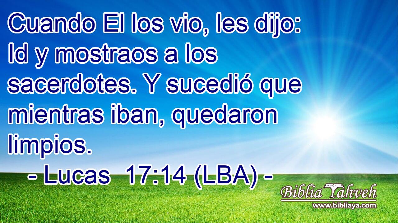 Cuando El los vio, les dijo: Id y mostraos a los sacerdotes. Y sucedió que mientras iban, quedaron limpios.