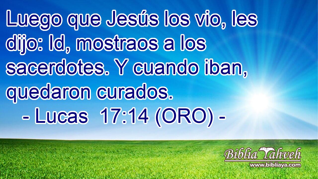 Luego que Jesús los vio, les dijo: Id, mostraos a los sacerdotes. Y cuando iban, quedaron curados. 