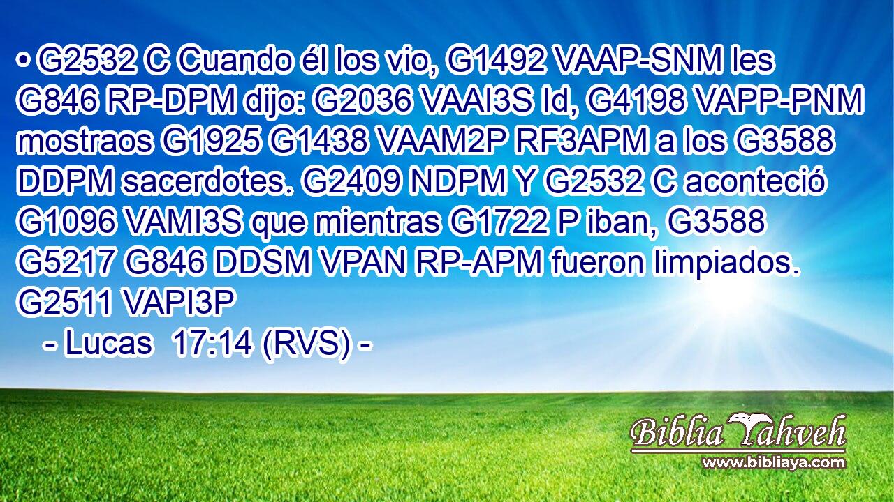 • G2532 C Cuando él los vio, G1492 VAAP-SNM les G846 RP-DPM dijo: G2036 VAAI3S Id, G4198 VAPP-PNM mostraos G1925 G1438 VAAM2P RF3APM a los G3588 DDPM sacerdotes. G2409 NDPM Y G2532 C aconteció G1096 VAMI3S que mientras G1722 P iban, G3588 G5217 G846 DDSM VPAN RP-APM fueron limpiados. G2511 VAPI3P 