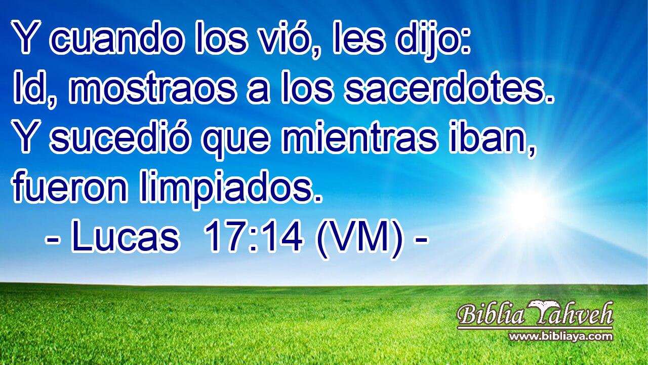  Y cuando los vió, les dijo: Id, mostraos a los sacerdotes. Y sucedió que mientras iban, fueron limpiados. 