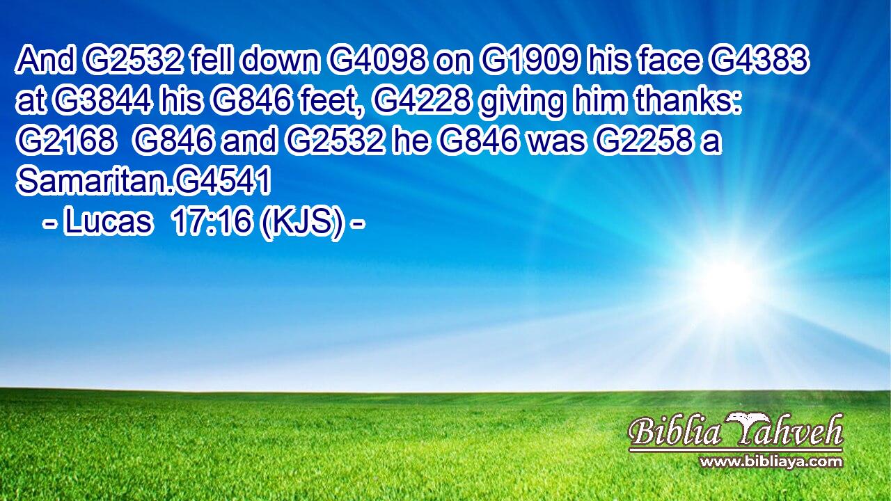 And G2532 fell down G4098 on G1909 his face G4383 at G3844 his G846 feet, G4228 giving him thanks: G2168  G846 and G2532 he G846 was G2258 a Samaritan.G4541