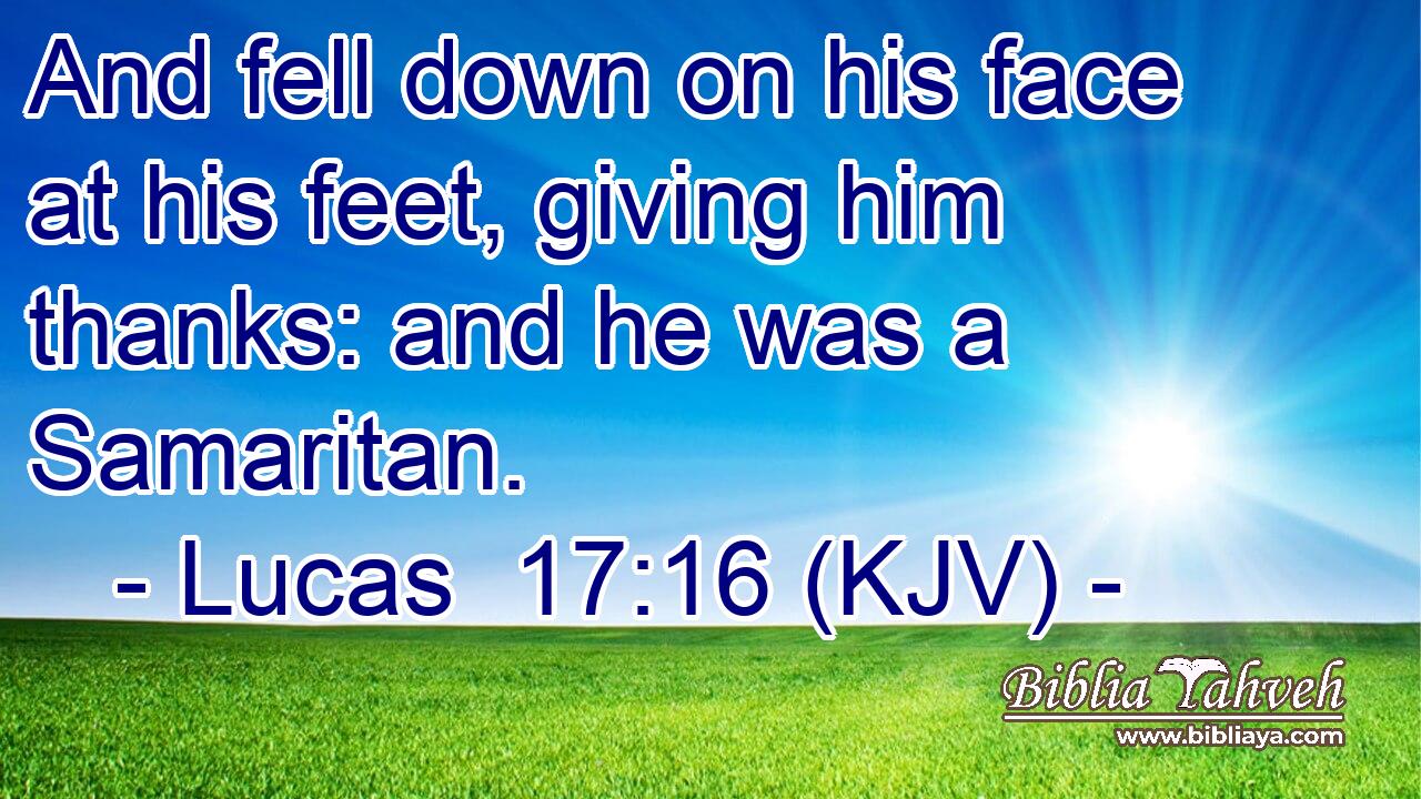 And fell down on his face at his feet, giving him thanks: and he was a Samaritan.