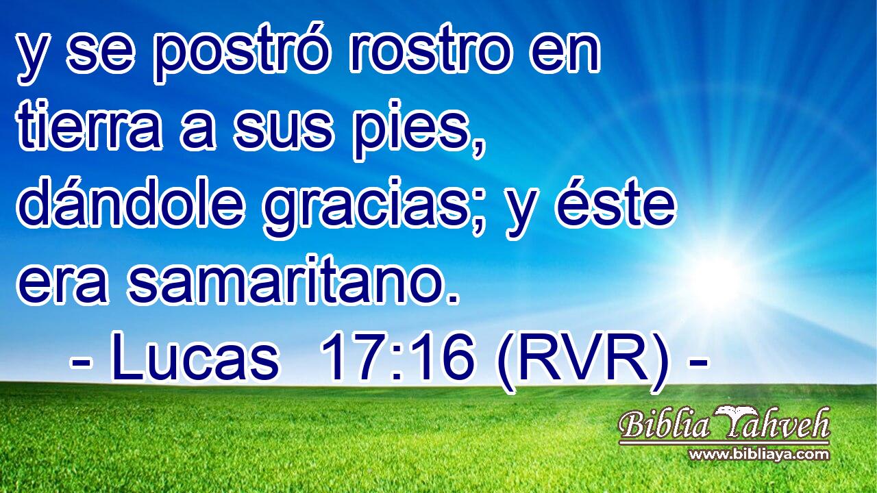 y se postró rostro en tierra a sus pies, dándole gracias; y éste era samaritano.