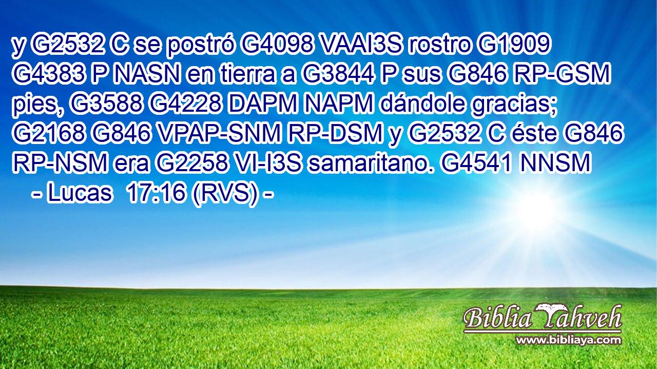 y G2532 C se postró G4098 VAAI3S rostro G1909 G4383 P NASN en tierra a G3844 P sus G846 RP-GSM pies, G3588 G4228 DAPM NAPM dándole gracias; G2168 G846 VPAP-SNM RP-DSM y G2532 C éste G846 RP-NSM era G2258 VI-I3S samaritano. G4541 NNSM 