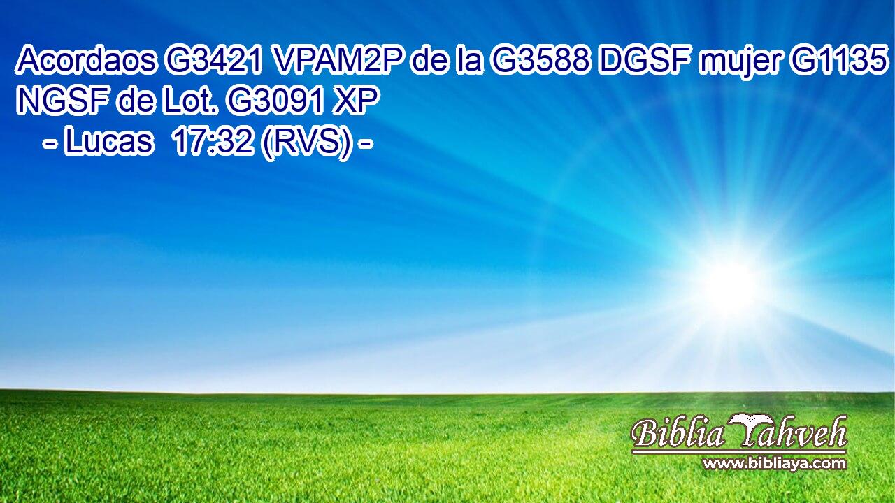 Acordaos G3421 VPAM2P de la G3588 DGSF mujer G1135 NGSF de Lot. G3091 XP 
