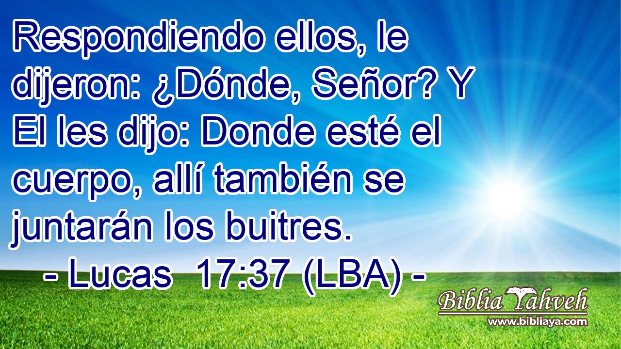 Respondiendo ellos, le dijeron: ¿Dónde, Señor? Y El les dijo: Donde esté el cuerpo, allí también se juntarán los buitres.