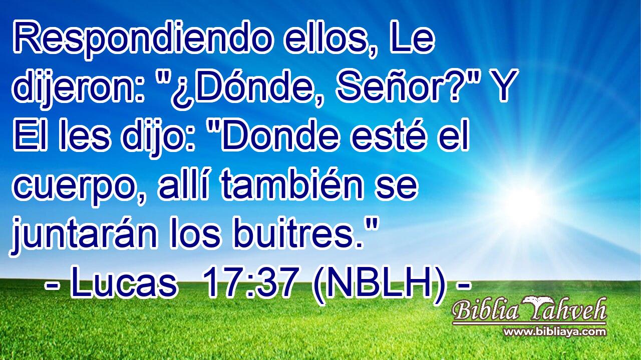  Respondiendo ellos, Le dijeron: 