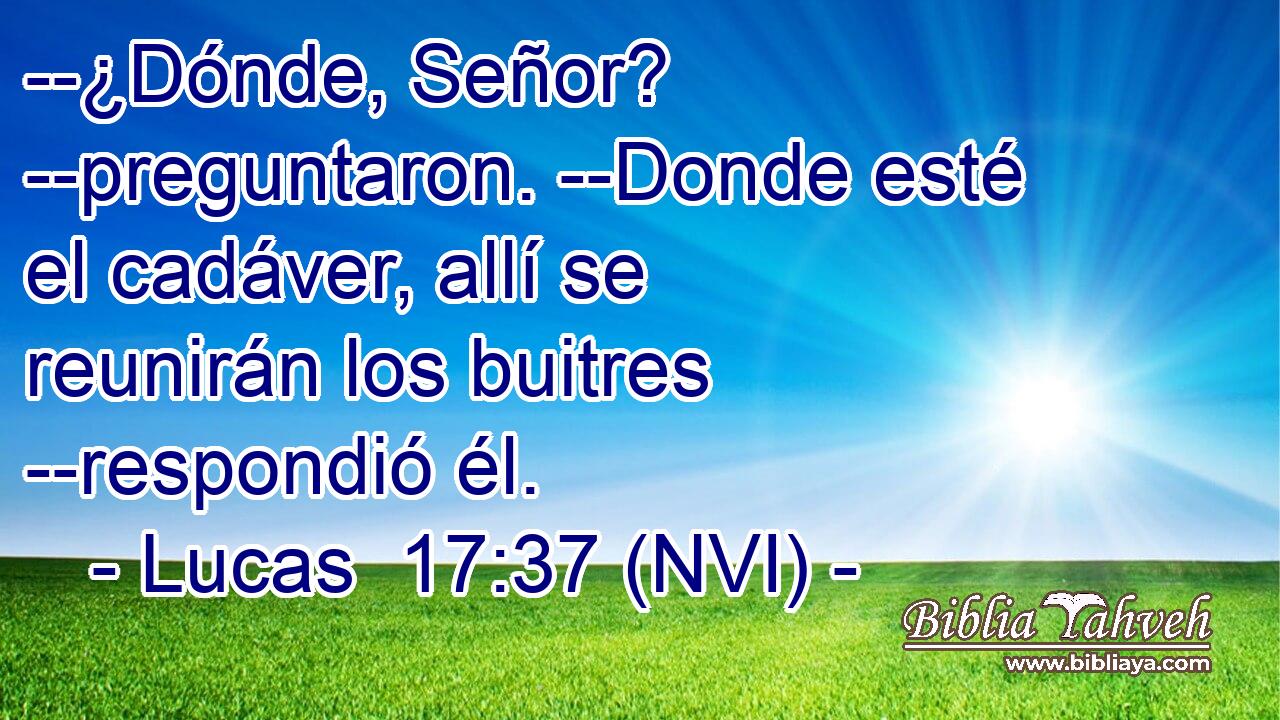  --¿Dónde, Señor? --preguntaron. --Donde esté el cadáver, allí se reunirán los buitres --respondió él. 