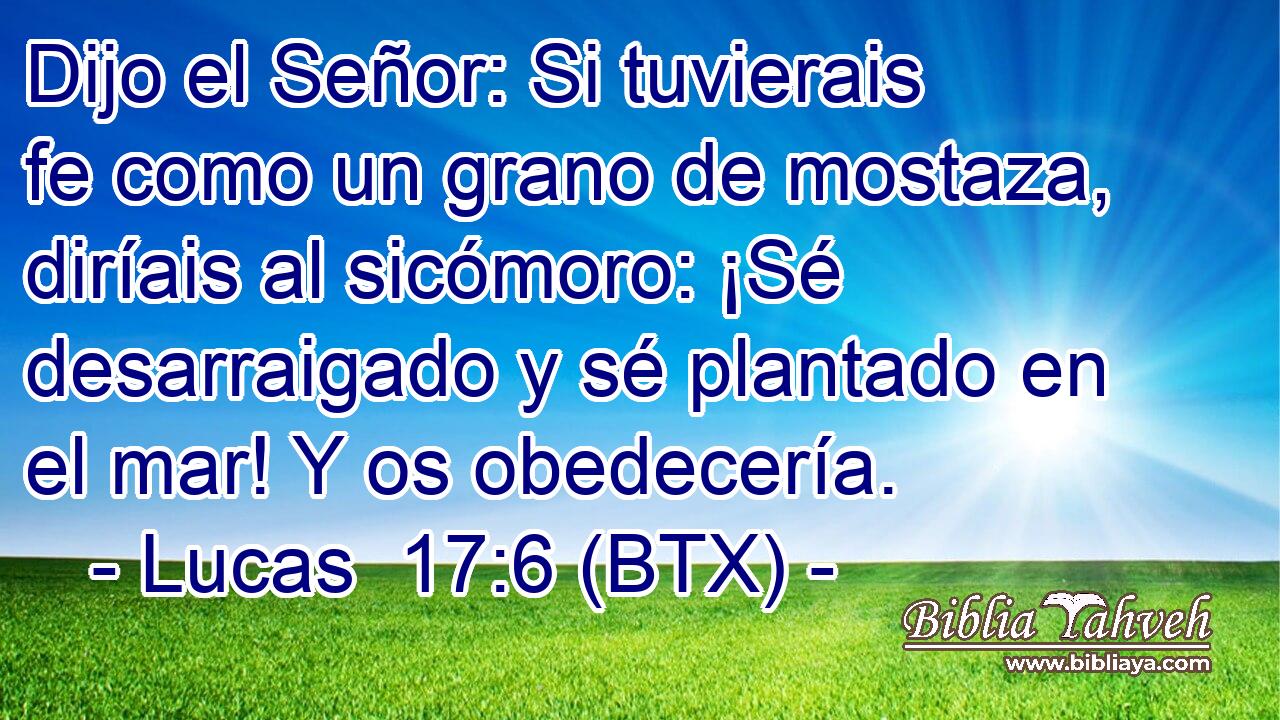 Dijo el Señor: Si tuvierais fe como un grano de mostaza, diríais al sicómoro: ¡Sé desarraigado y sé plantado en el mar! Y os obedecería.