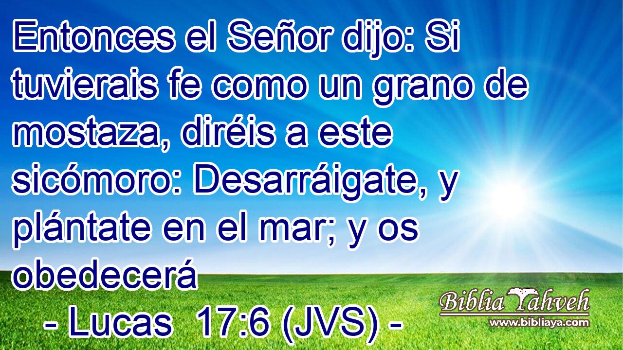 Entonces el Señor dijo: Si tuvierais fe como un grano de mostaza, diréis a este sicómoro: Desarráigate, y plántate en el mar; y os obedecerá