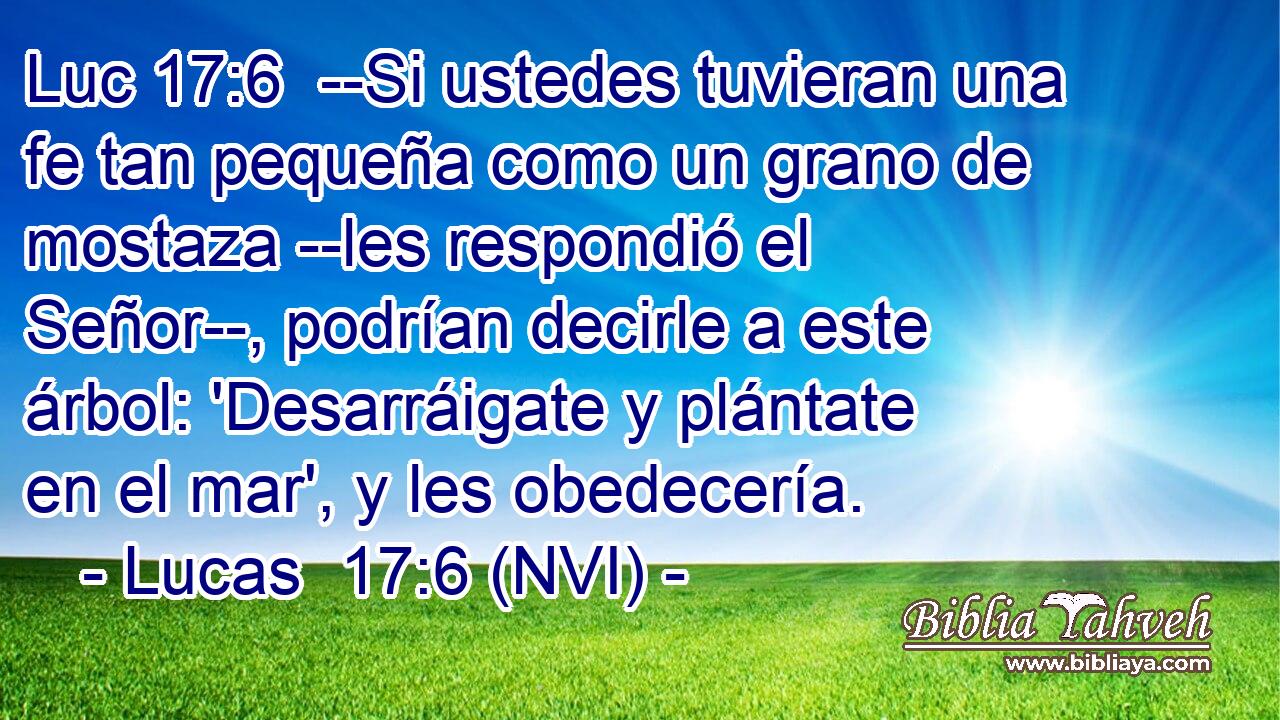 Luc 17:6  --Si ustedes tuvieran una fe tan pequeña como un grano de mostaza --les respondió el Señor--, podrían decirle a este árbol: 'Desarráigate y plántate en el mar', y les obedecería. 