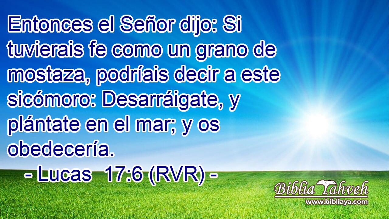 Entonces el Señor dijo: Si tuvierais fe como un grano de mostaza, podríais decir a este sicómoro: Desarráigate, y plántate en el mar; y os obedecería.