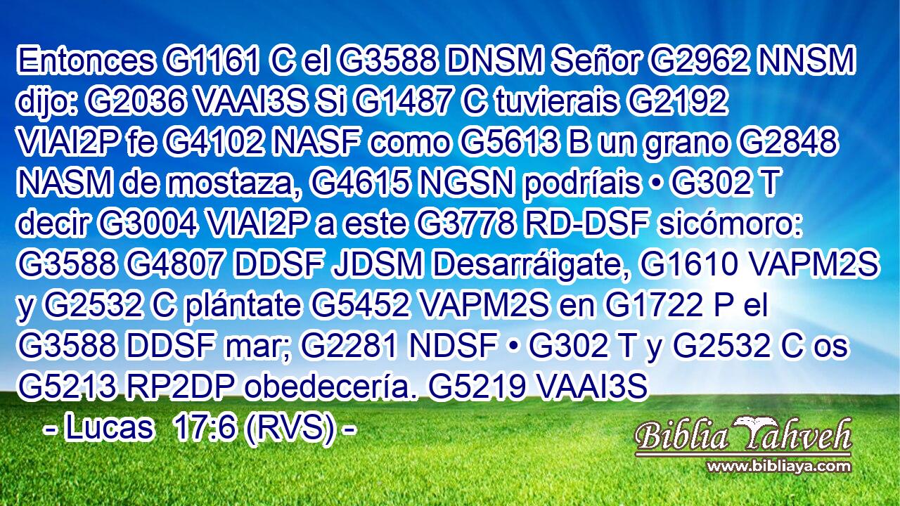 Entonces G1161 C el G3588 DNSM Señor G2962 NNSM dijo: G2036 VAAI3S Si G1487 C tuvierais G2192 VIAI2P fe G4102 NASF como G5613 B un grano G2848 NASM de mostaza, G4615 NGSN podríais • G302 T decir G3004 VIAI2P a este G3778 RD-DSF sicómoro: G3588 G4807 DDSF JDSM Desarráigate, G1610 VAPM2S y G2532 C plántate G5452 VAPM2S en G1722 P el G3588 DDSF mar; G2281 NDSF • G302 T y G2532 C os G5213 RP2DP obedecería. G5219 VAAI3S 