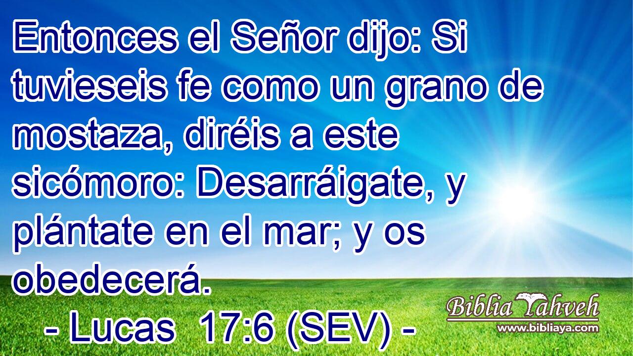 Entonces el Señor dijo: Si tuvieseis fe como un grano de mostaza, diréis a este sicómoro: Desarráigate, y plántate en el mar; y os obedecerá.