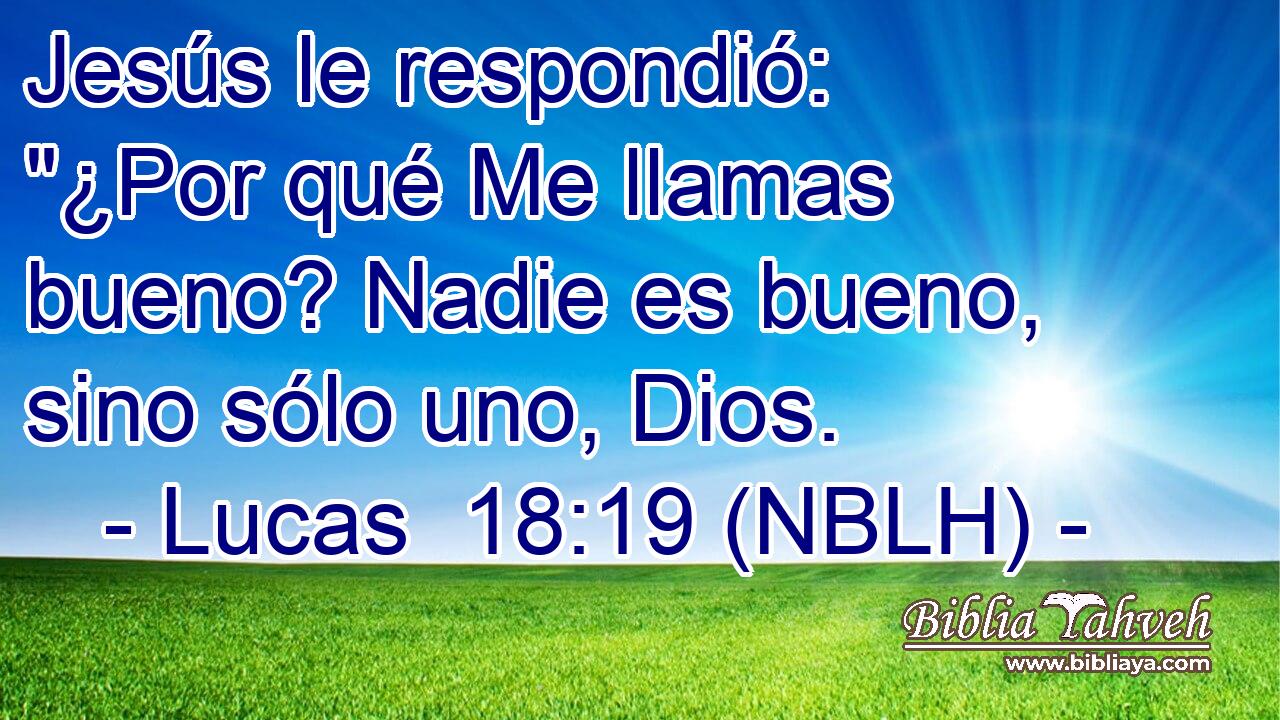  Jesús le respondió: 