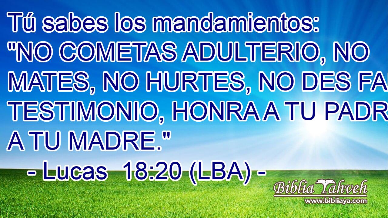 Tú sabes los mandamientos: 