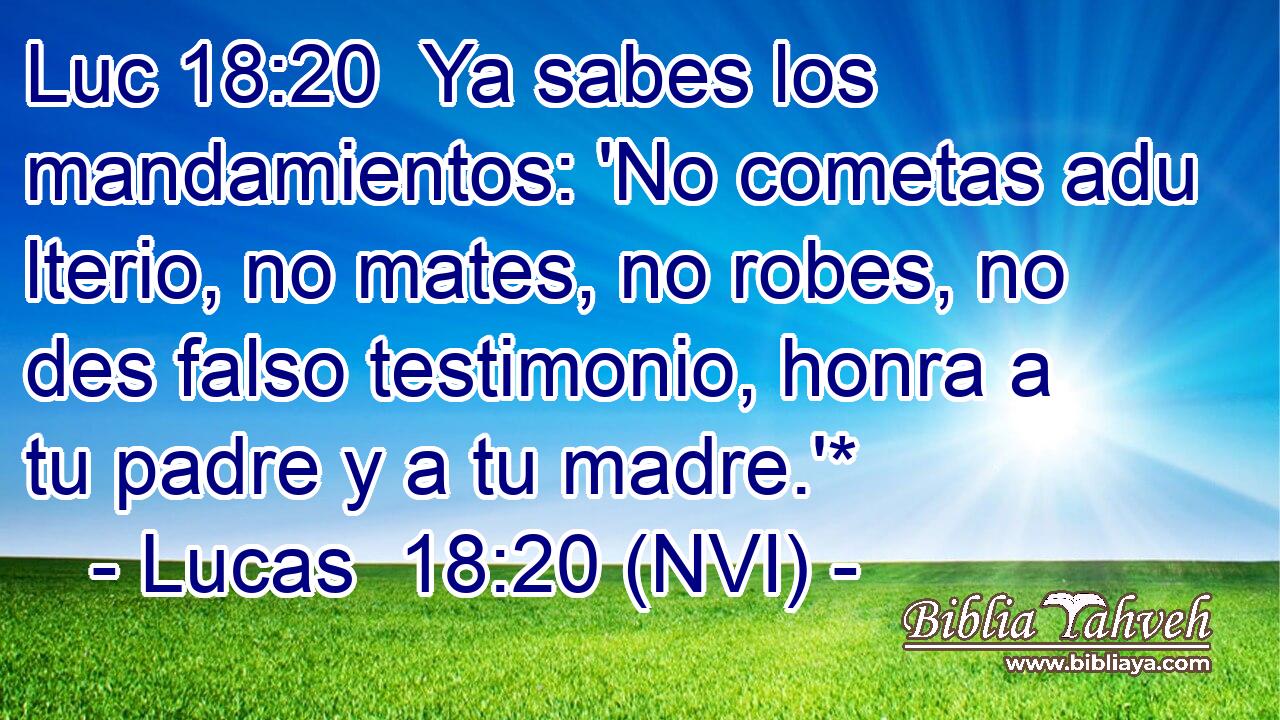 Luc 18:20  Ya sabes los mandamientos: 'No cometas adu lterio, no mates, no robes, no des falso testimonio, honra a tu padre y a tu madre.'* 