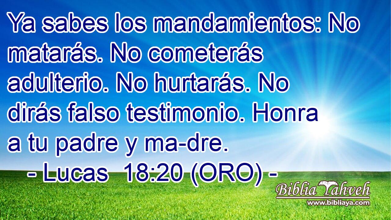  Ya sabes los mandamientos: No matarás. No cometerás adulterio. No hurtarás. No dirás falso testimonio. Honra a tu padre y ma-dre. 