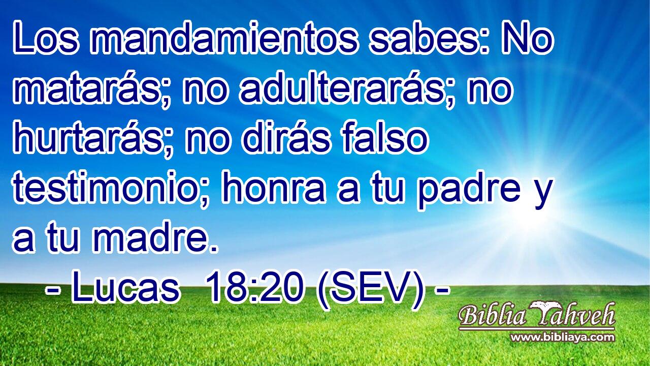 Los mandamientos sabes: No matarás; no adulterarás; no hurtarás; no dirás falso testimonio; honra a tu padre y a tu madre.