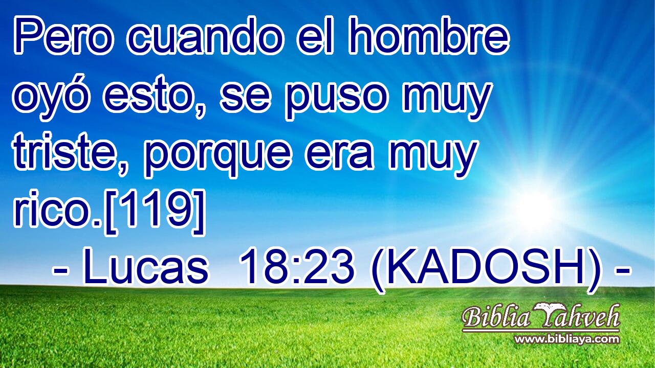  Pero cuando el hombre oyó esto, se puso muy triste, porque era muy rico.[119] 