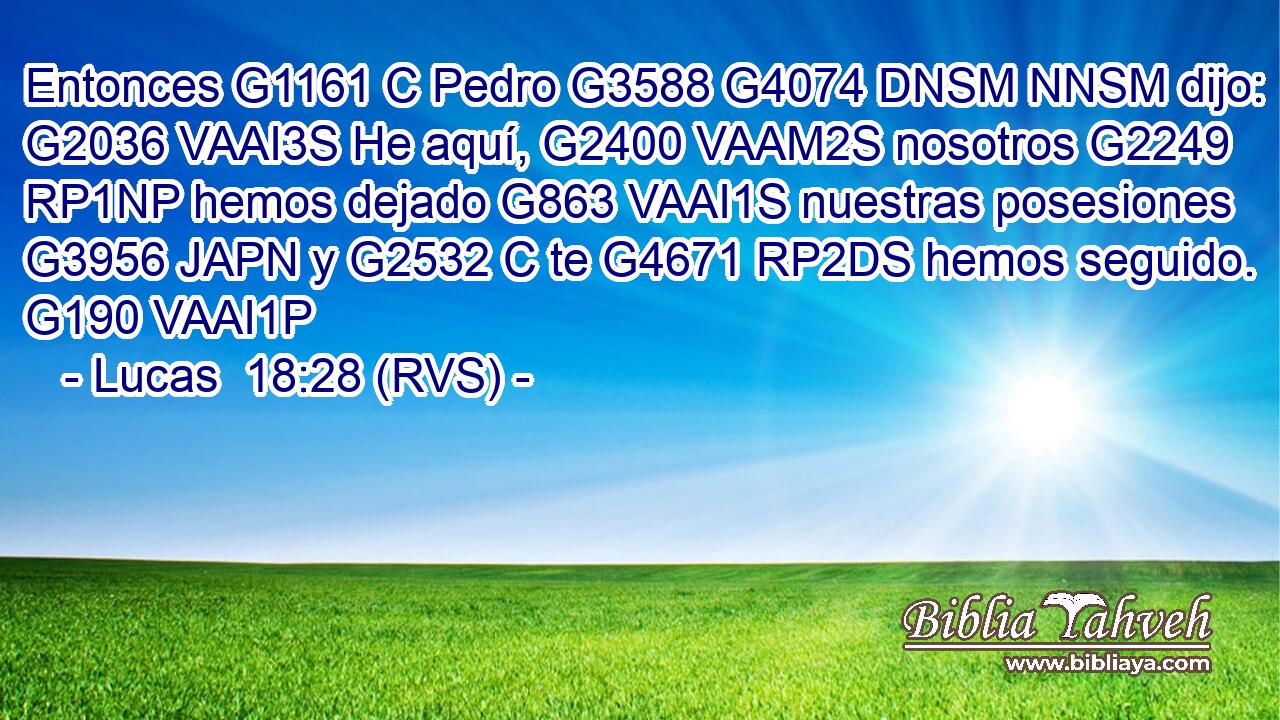 Entonces G1161 C Pedro G3588 G4074 DNSM NNSM dijo: G2036 VAAI3S He aquí, G2400 VAAM2S nosotros G2249 RP1NP hemos dejado G863 VAAI1S nuestras posesiones G3956 JAPN y G2532 C te G4671 RP2DS hemos seguido. G190 VAAI1P 