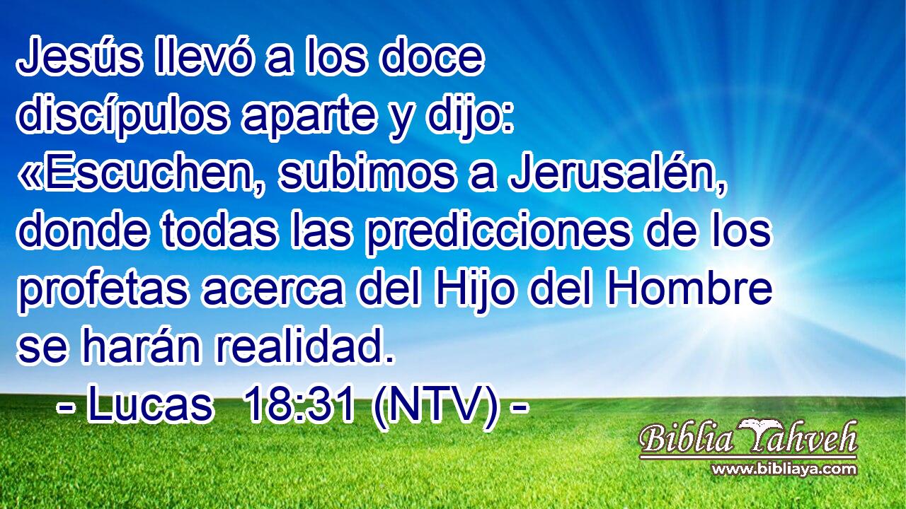 Jesús llevó a los doce discípulos aparte y dijo: «Escuchen, subimos a Jerusalén, donde todas las predicciones de los profetas acerca del Hijo del Hombre se harán realidad.