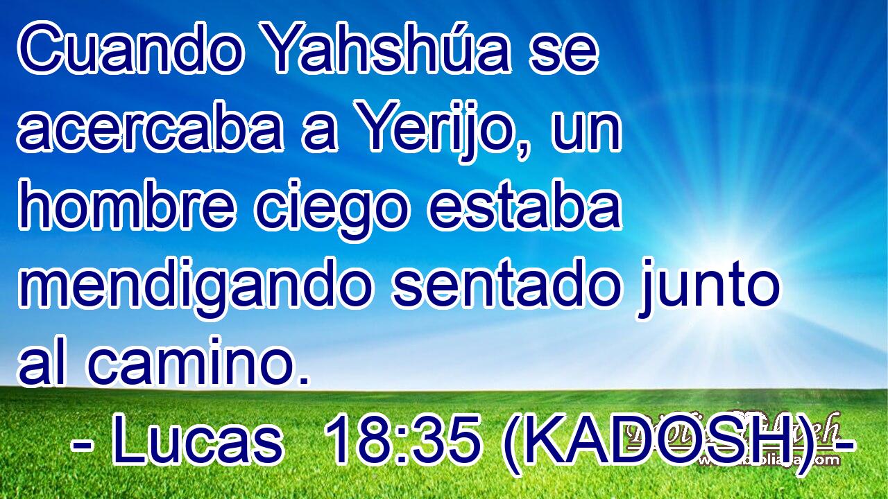  Cuando Yahshúa se acercaba a Yerijo, un hombre ciego estaba mendigando sentado junto al camino. 
