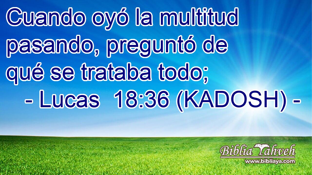  Cuando oyó la multitud pasando, preguntó de qué se trataba todo; 