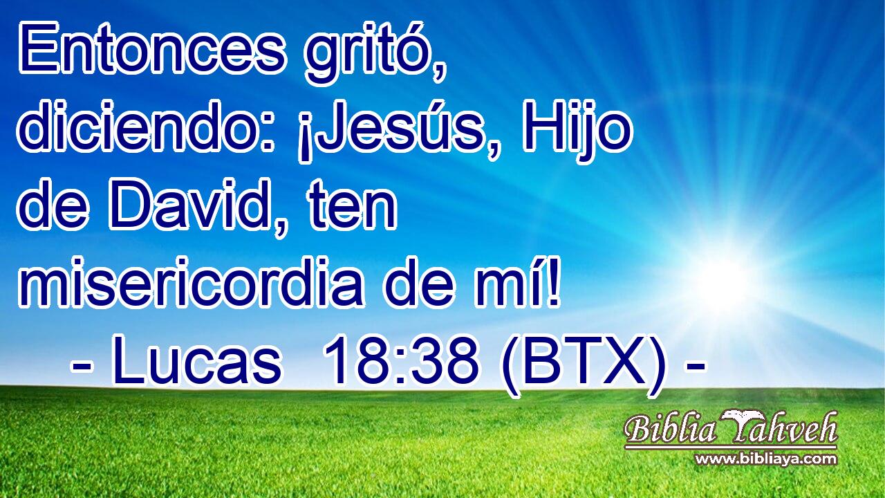 Entonces gritó, diciendo: ¡Jesús, Hijo de David, ten misericordia de mí!
