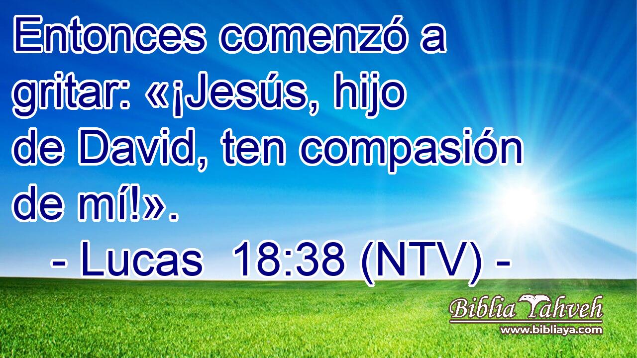 Entonces comenzó a gritar: «¡Jesús, hijo de David, ten compasión de mí!».