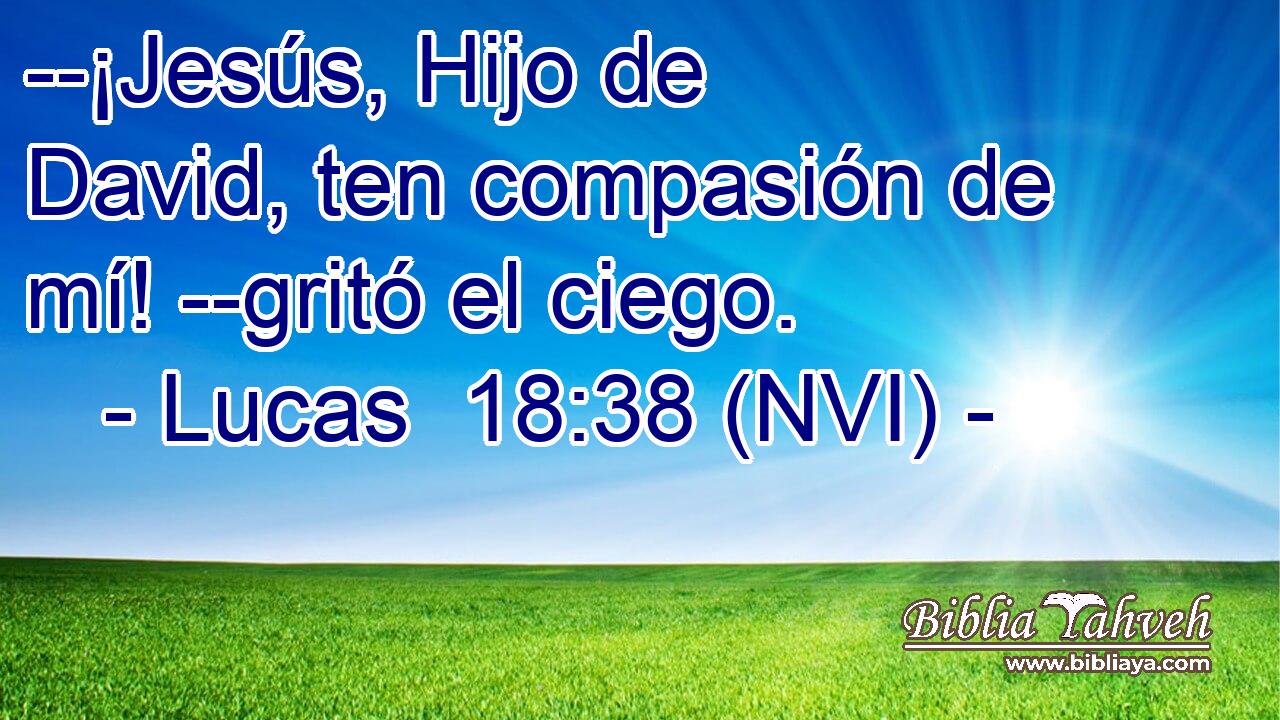  --¡Jesús, Hijo de David, ten compasión de mí! --gritó el ciego. 