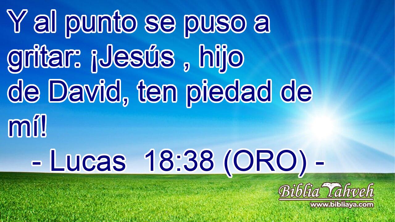  Y al punto se puso a gritar: ¡Jesús , hijo de David, ten piedad de mí! 