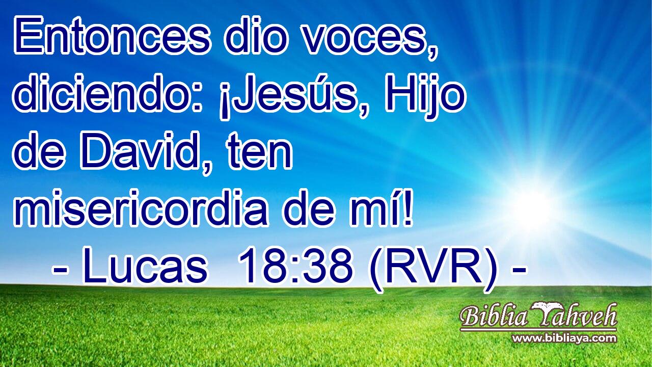 Entonces dio voces, diciendo: ¡Jesús, Hijo de David, ten misericordia de mí!