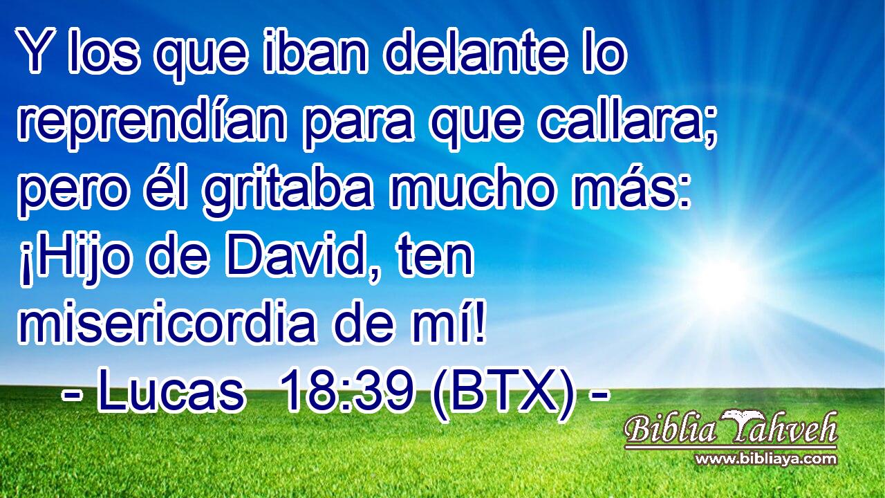 Y los que iban delante lo reprendían para que callara; pero él gritaba mucho más: ¡Hijo de David, ten misericordia de mí!