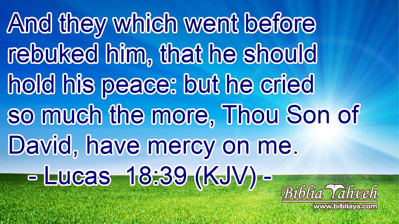 And they which went before rebuked him, that he should hold his peace: but he cried so much the more, Thou Son of David, have mercy on me.