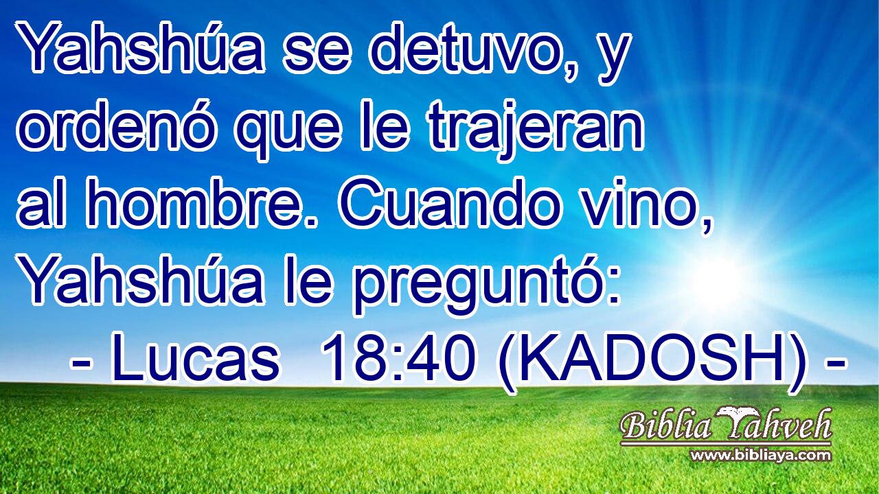 Yahshúa se detuvo, y ordenó que le trajeran al hombre. Cuando vino, Yahshúa le preguntó: 