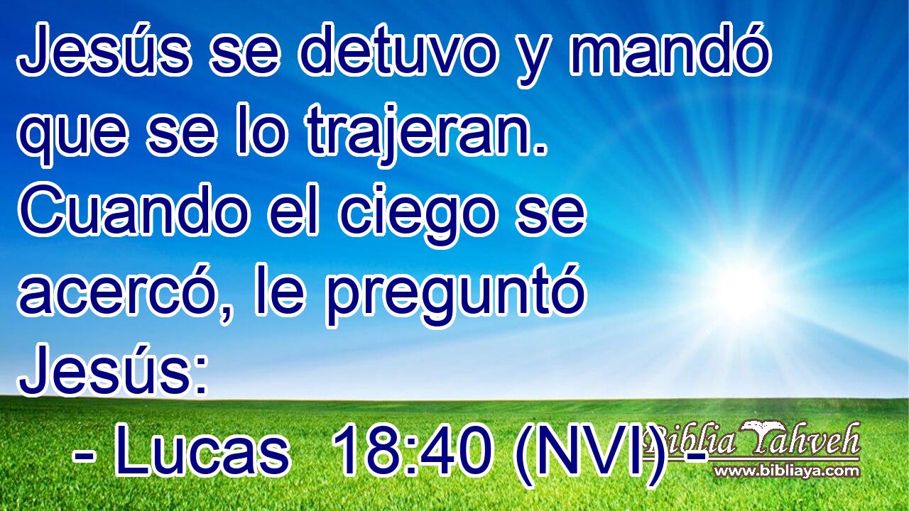  Jesús se detuvo y mandó que se lo trajeran. Cuando el ciego se acercó, le preguntó Jesús: 