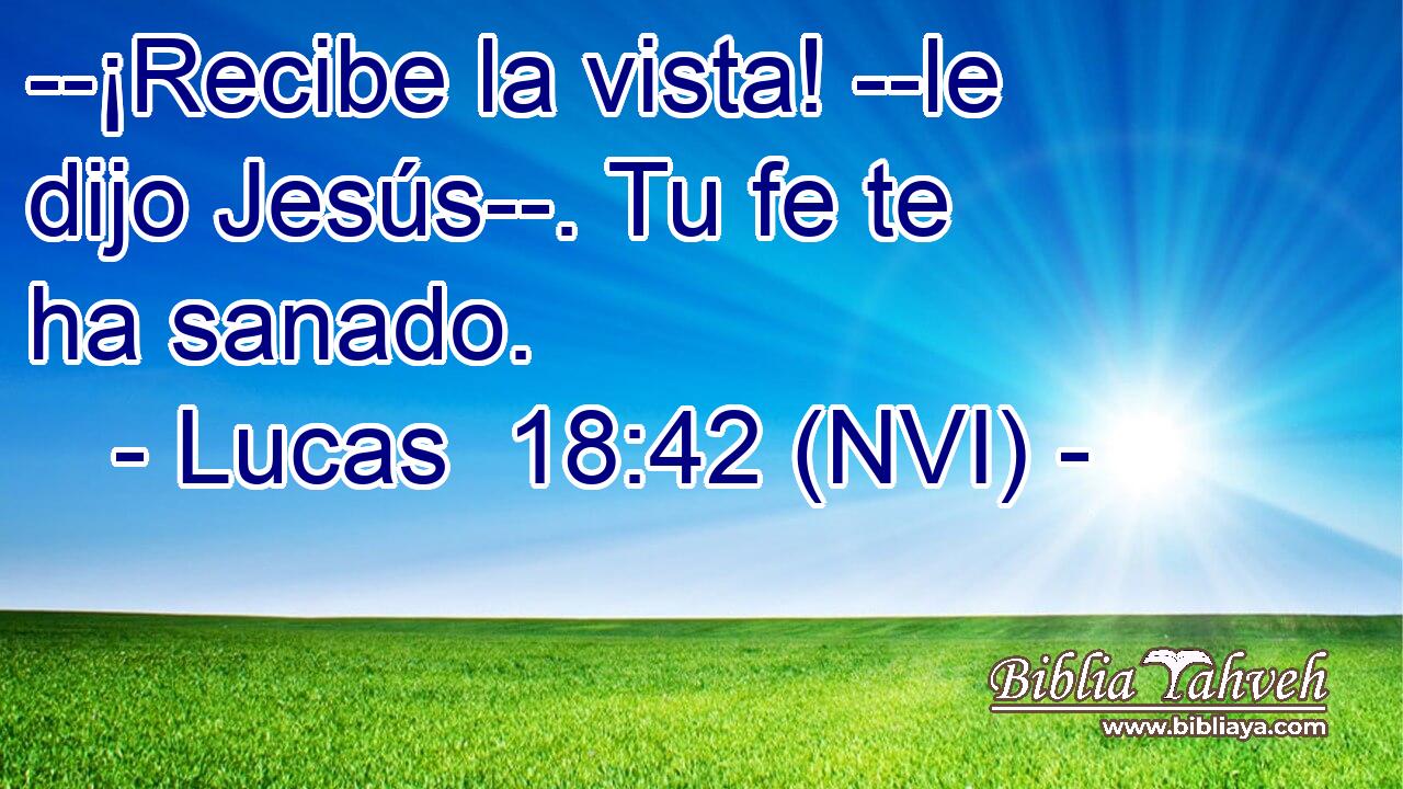  --¡Recibe la vista! --le dijo Jesús--. Tu fe te ha sanado. 