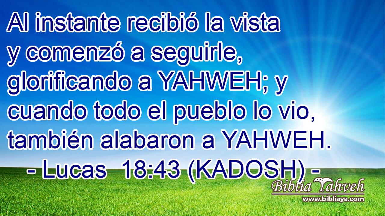  Al instante recibió la vista y comenzó a seguirle, glorificando a YAHWEH; y cuando todo el pueblo lo vio, también alabaron a YAHWEH. 