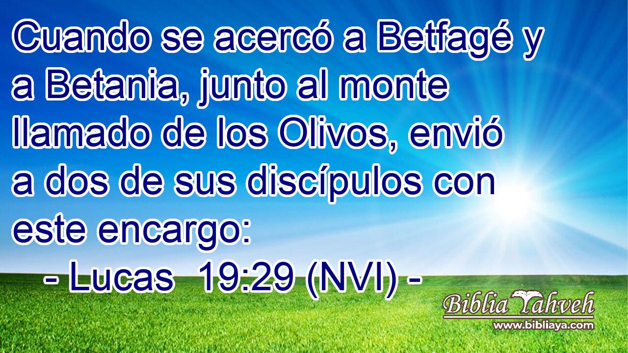  Cuando se acercó a Betfagé y a Betania, junto al monte llamado de los Olivos, envió a dos de sus discípulos con este encargo: 